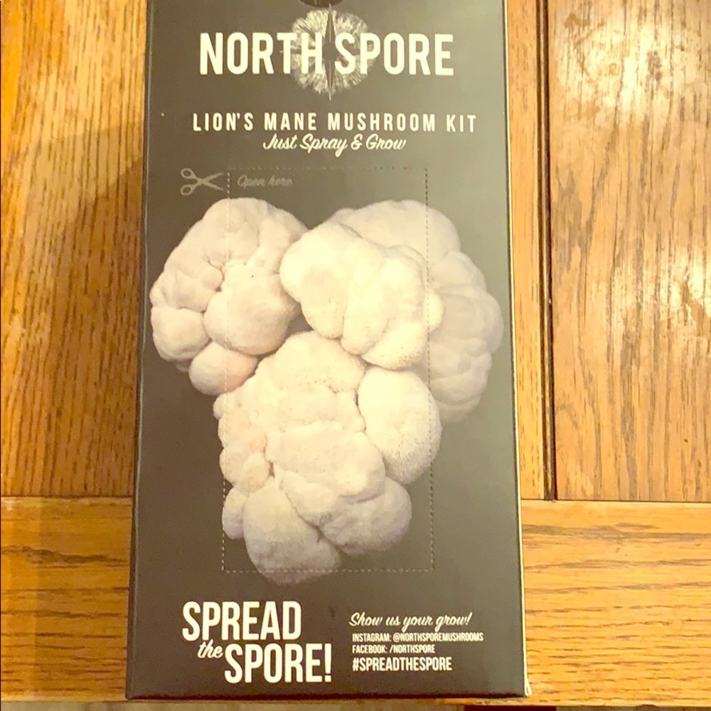 Mushroom growing kit.  🍄